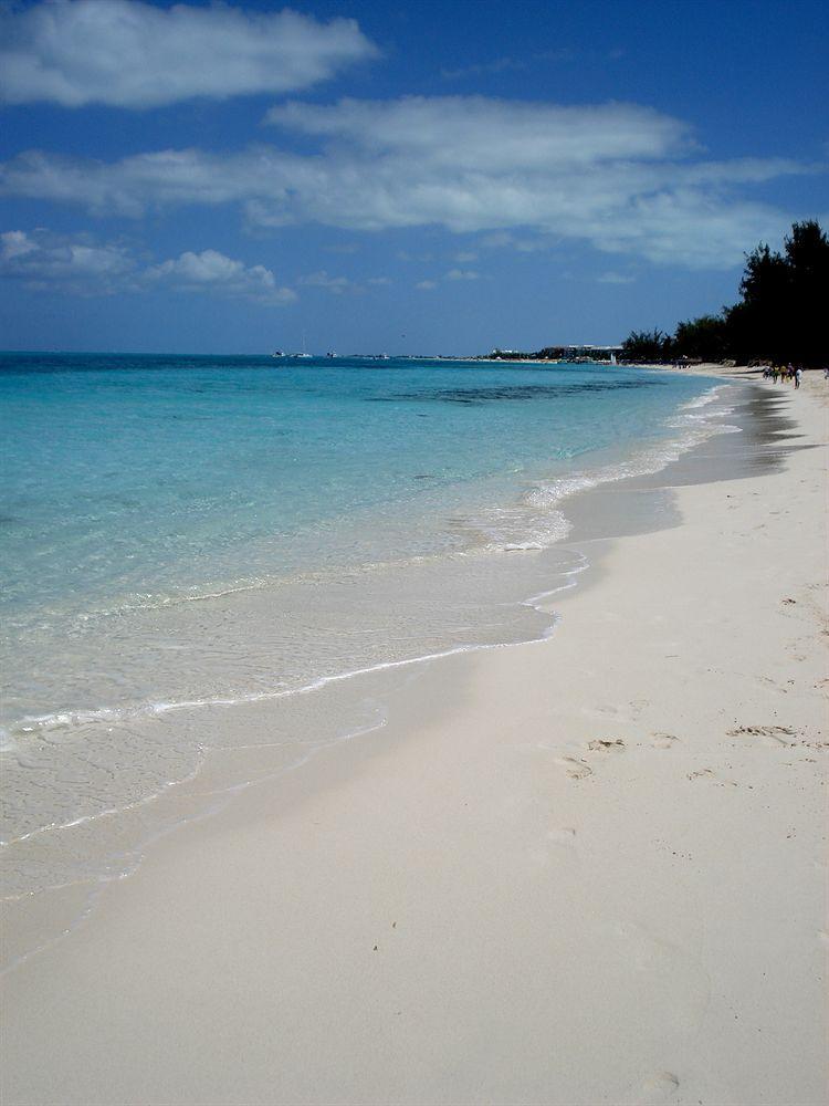 Bungalows At Windsong On The Reef The Bight Settlements Servizi foto